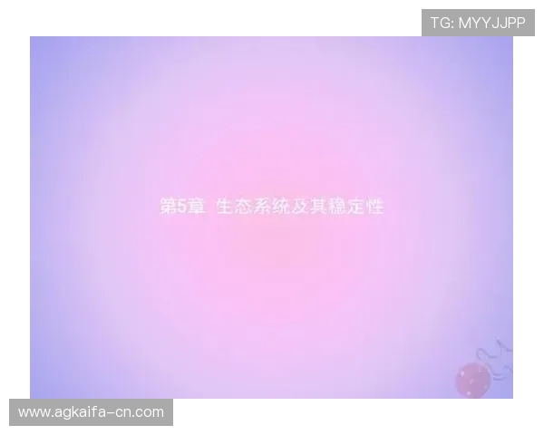 k8娱乐怎么样：平台的技术支持与系统稳定性分析